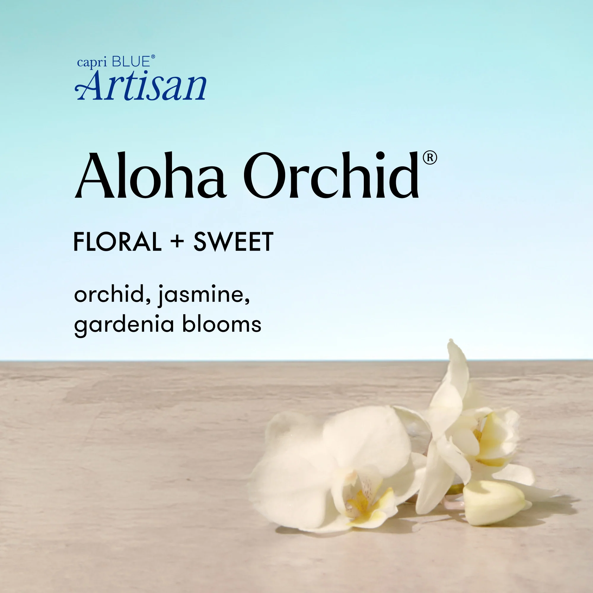Aloha Orchid Luce d'Amalfi Petite Candle - Image 3