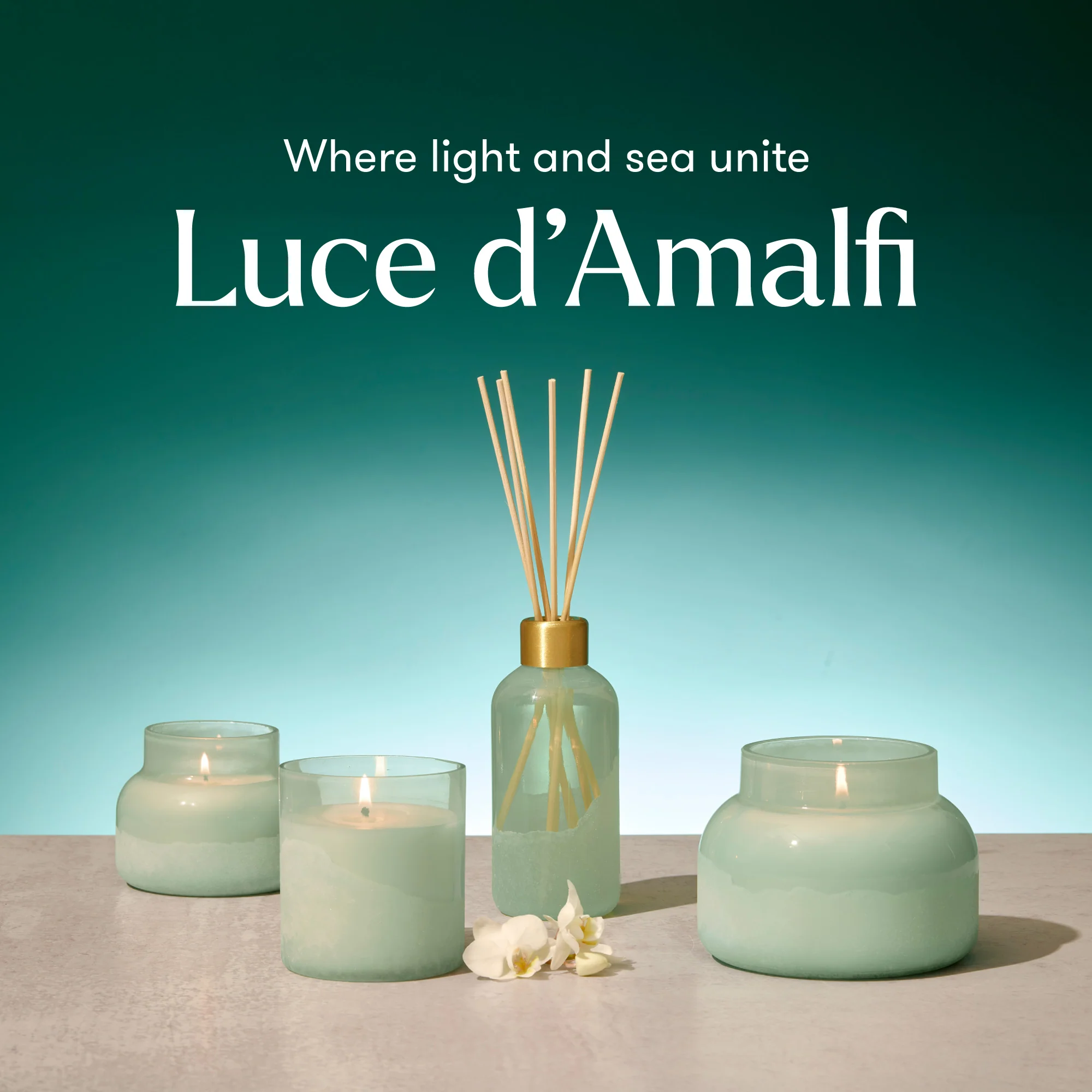 Aloha Orchid Luce d'Amalfi Petite Candle - Image 6