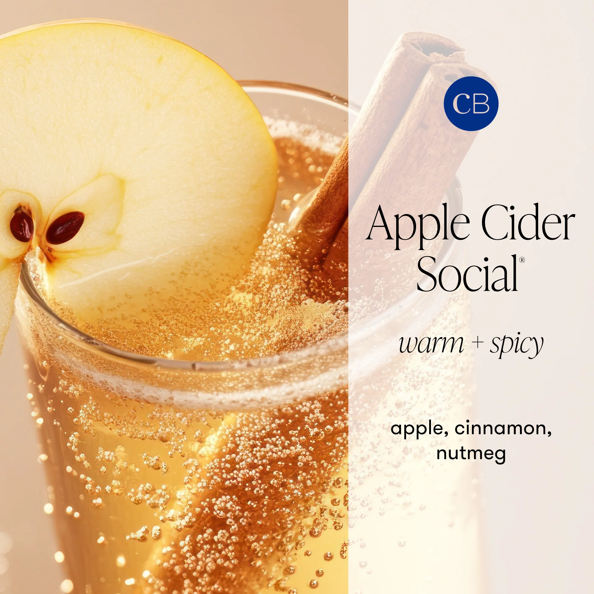 Apple Cider Social Glimmer Hand Wash - Image 3