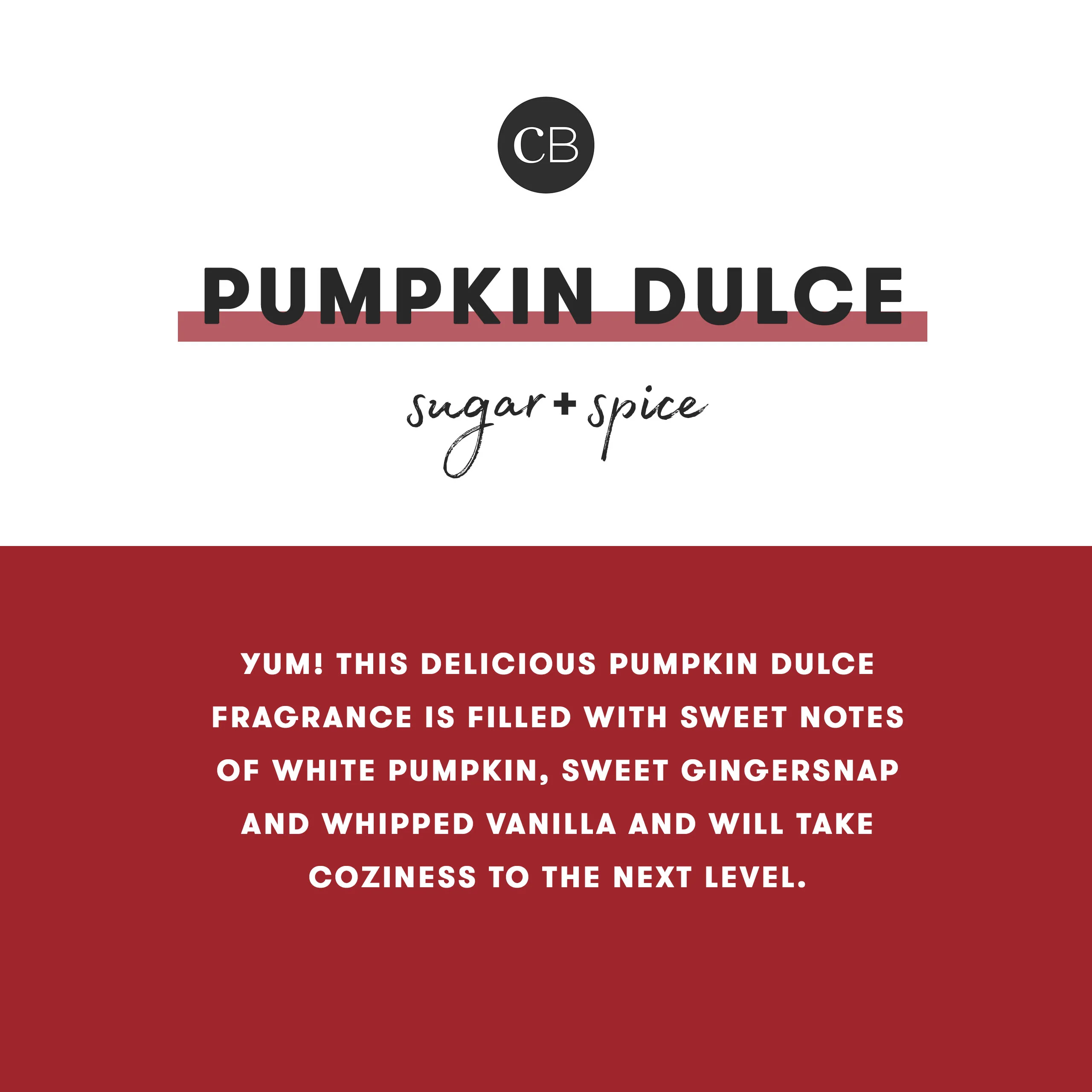 CB + PURA Diffuser Refill 2-Pack Bundle, Pumpkin Dulce - Image 3