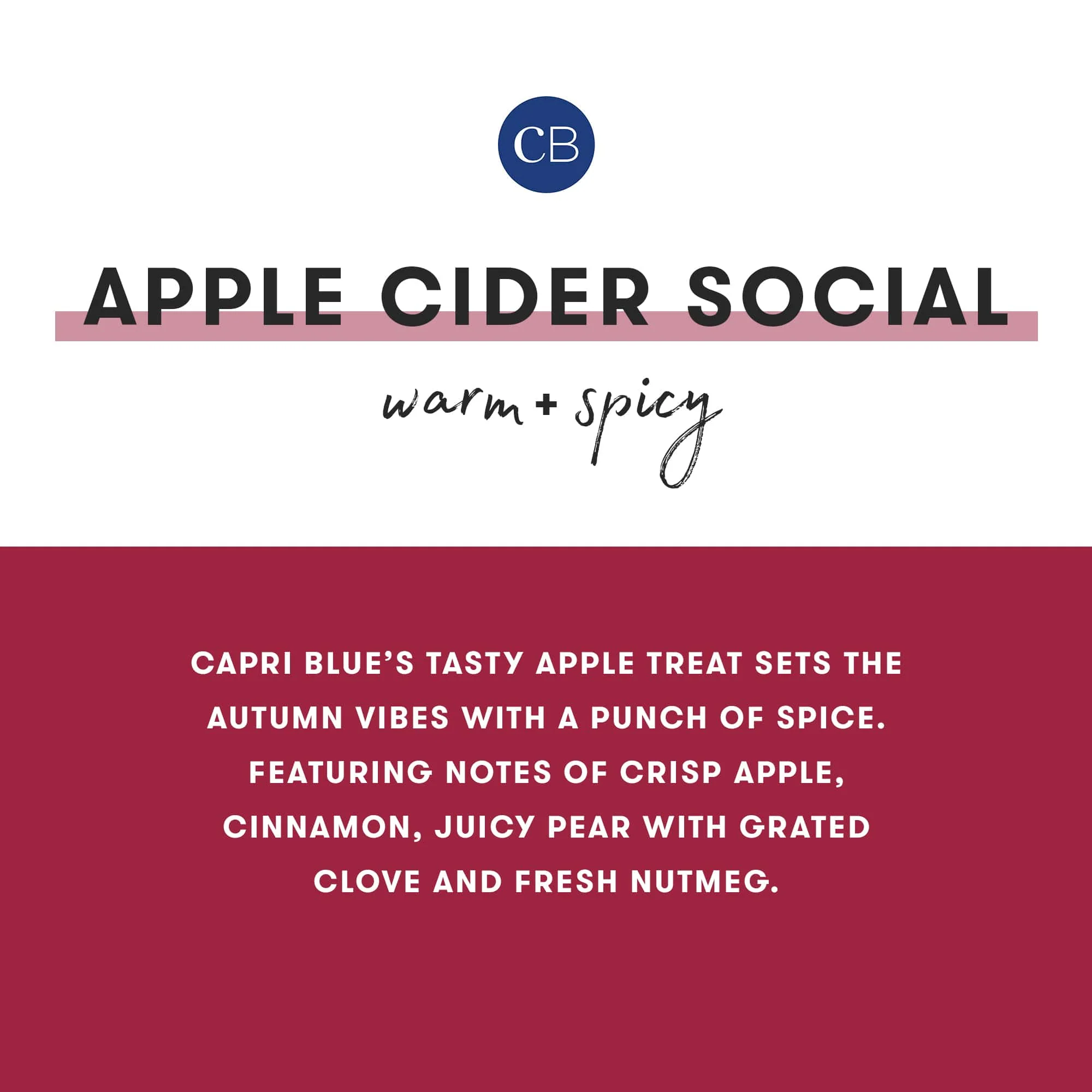 Apple Cider Social Glimmer Reed Diffuser - Image 5