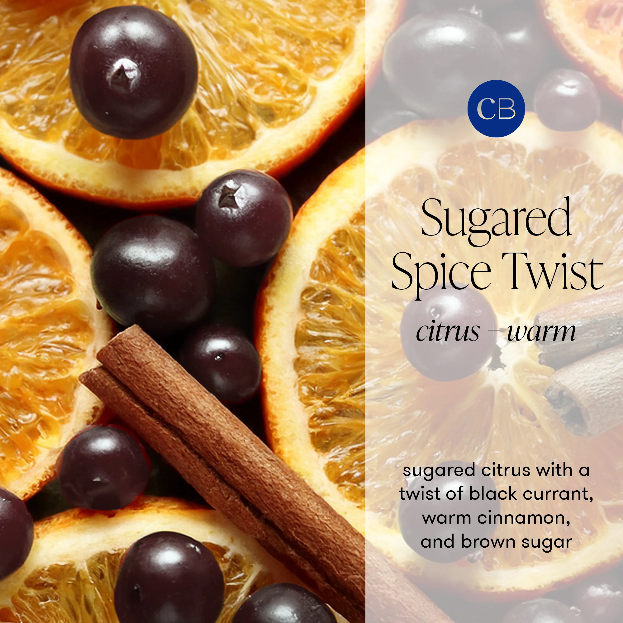 CB + PURA Diffuser Refill 2-Pack Bundle, Sugared Spice Twist - Image 3