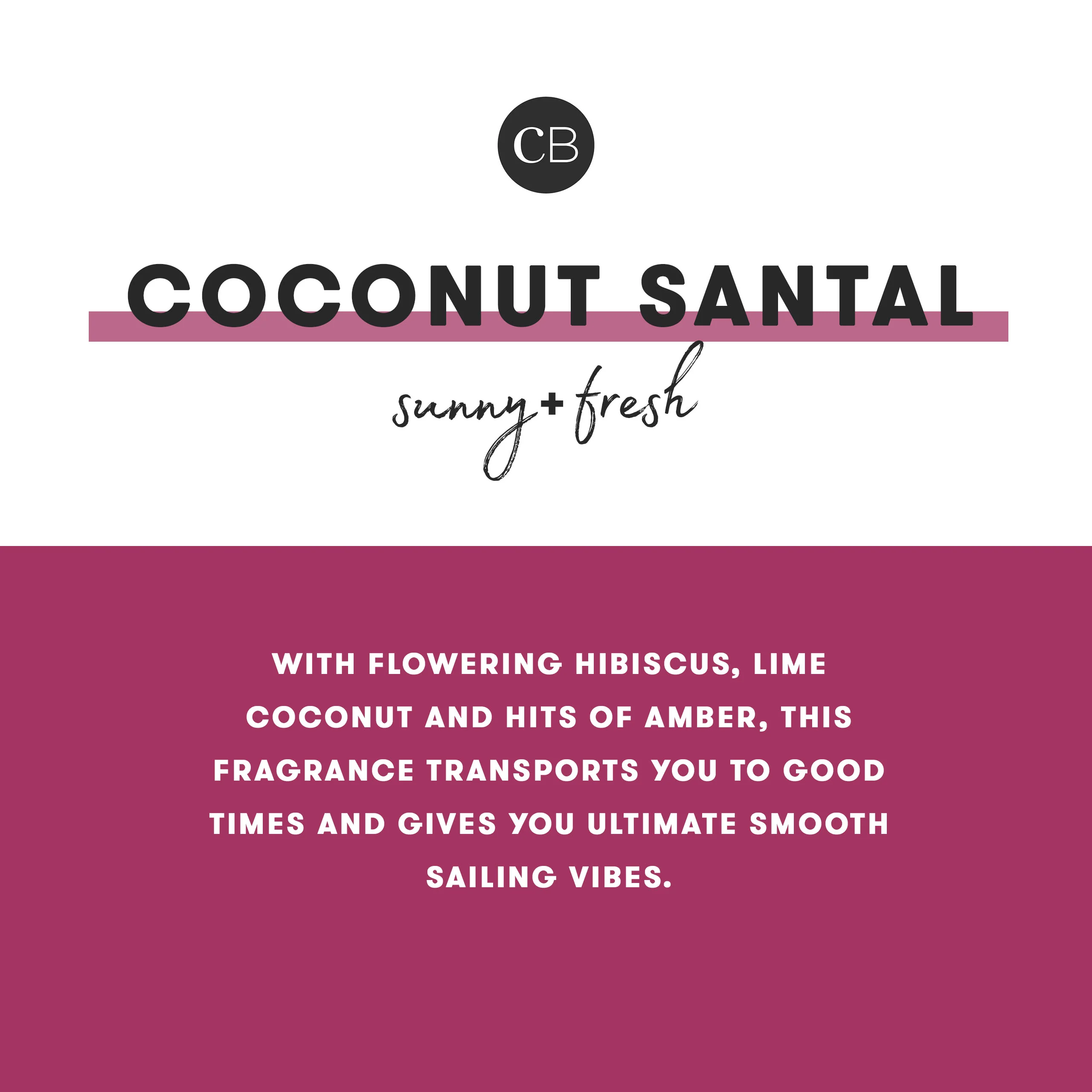 Coconut Santal Modern Marble Petite Reed Diffuser - Image 5