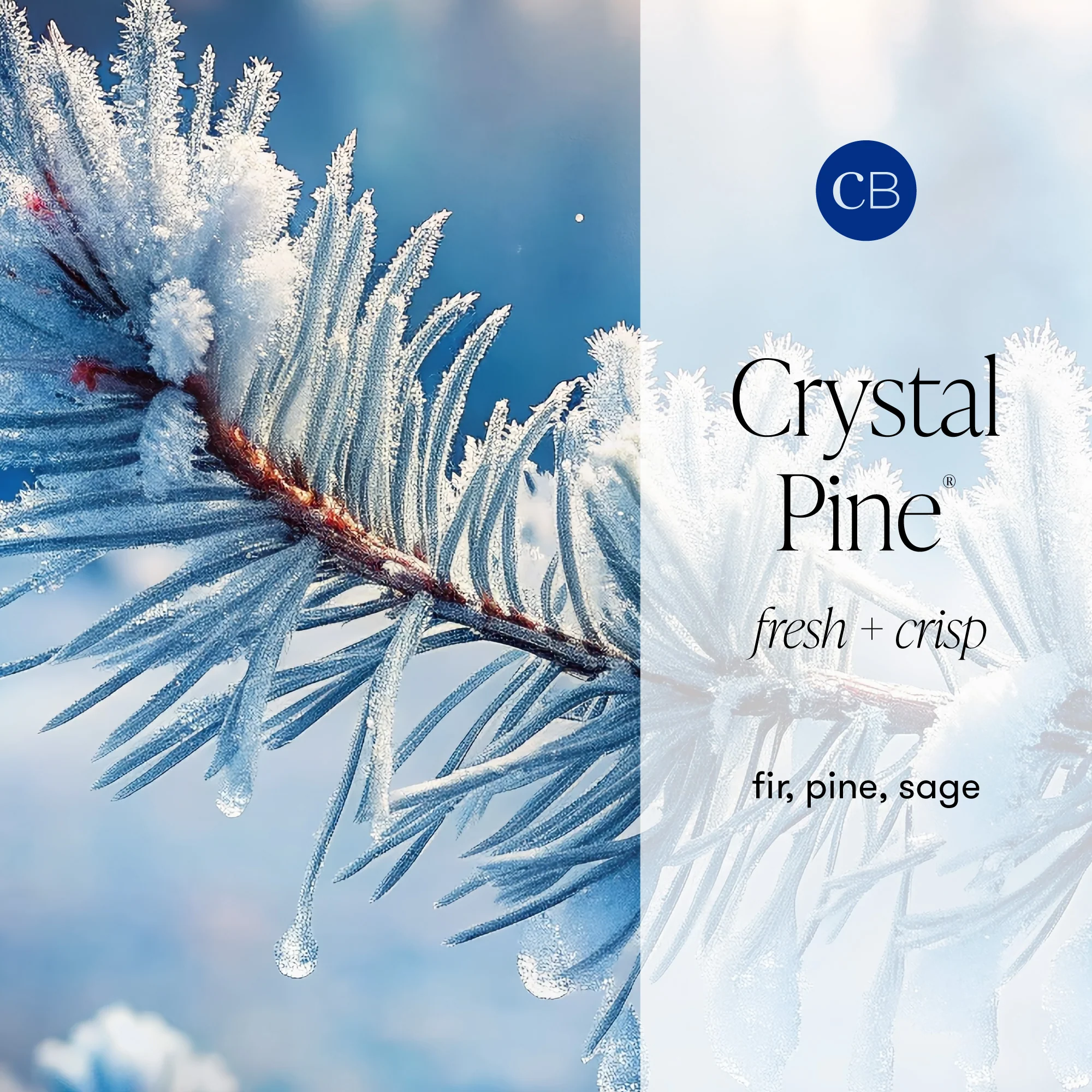 Crystal Pine Glimmer Hand Wash - Image 3