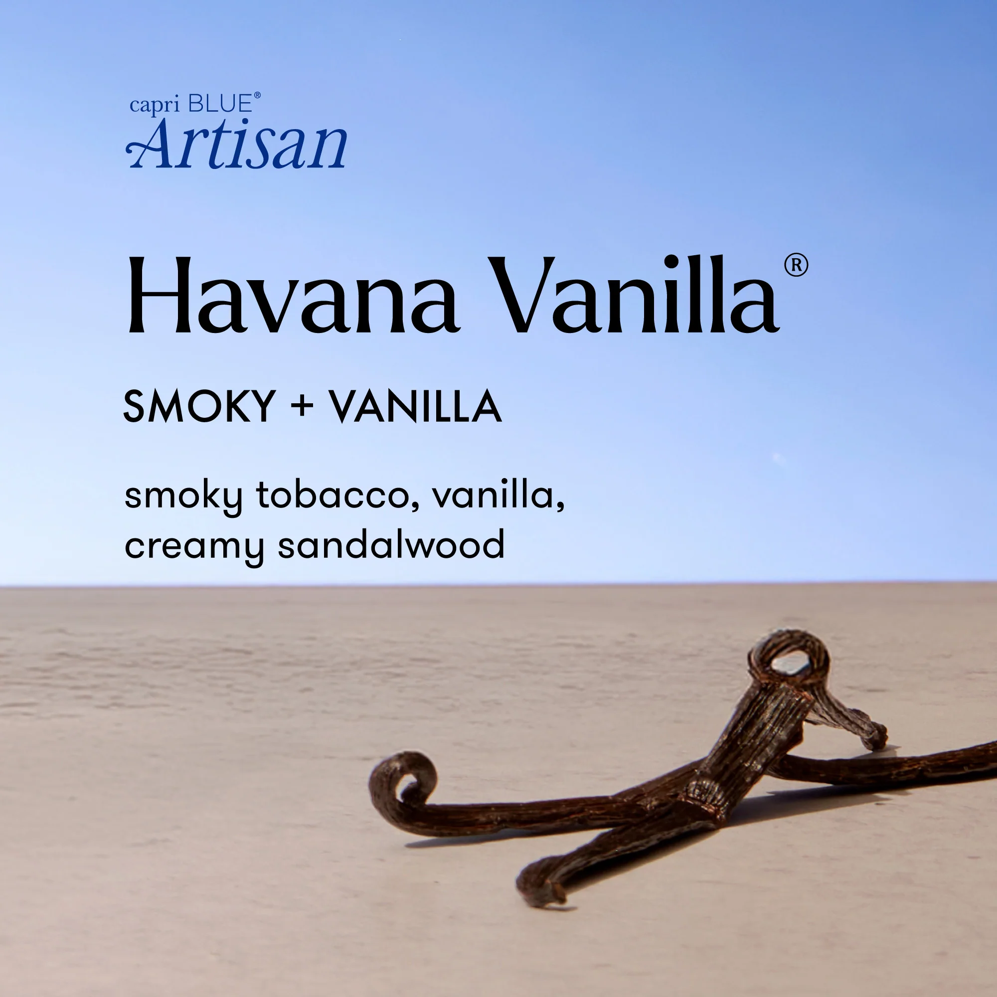 Havana Vanilla Luce d'Amalfi Reed Diffuser - Image 3