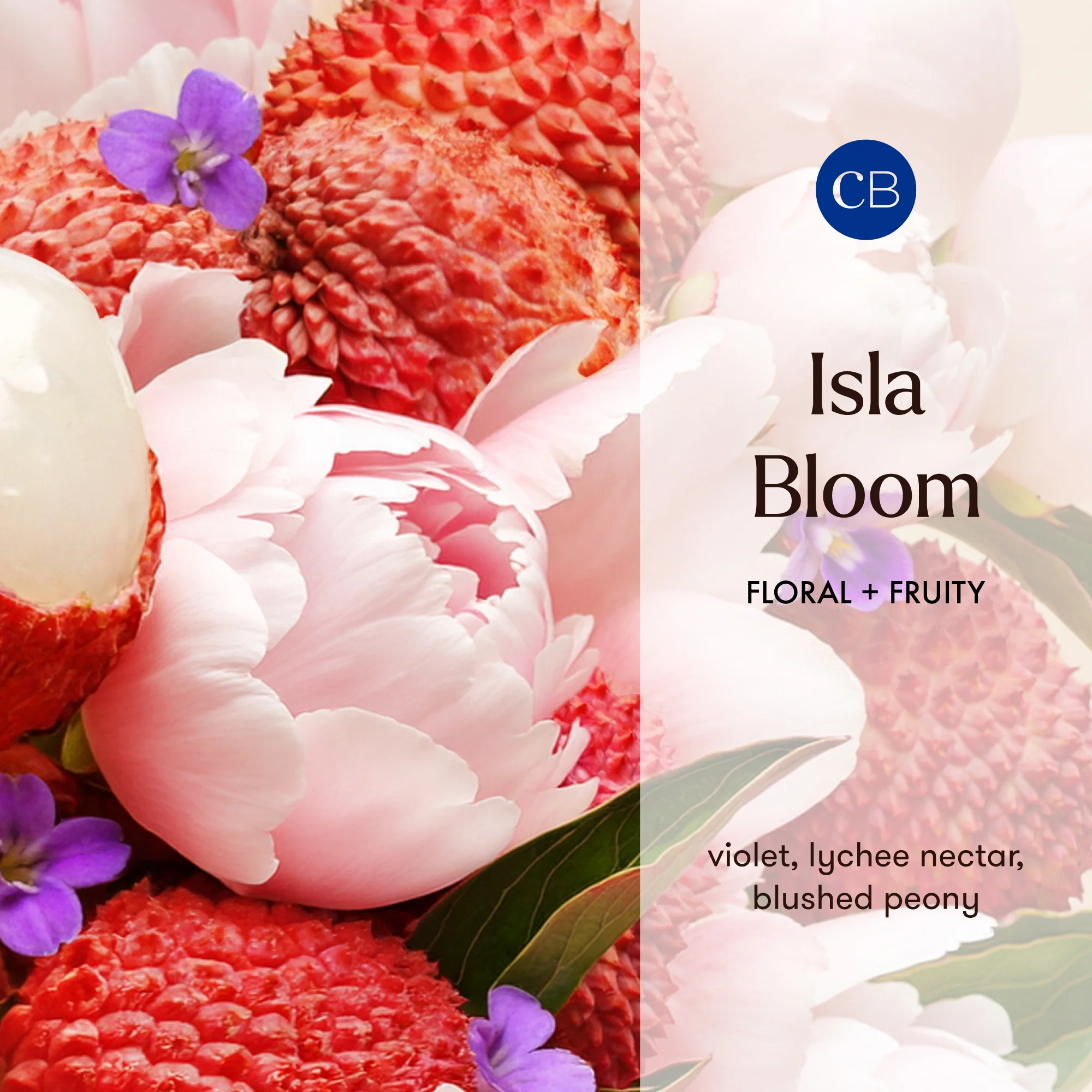 Isla Bloom Riviera Sunset Signature Candle - Image 3
