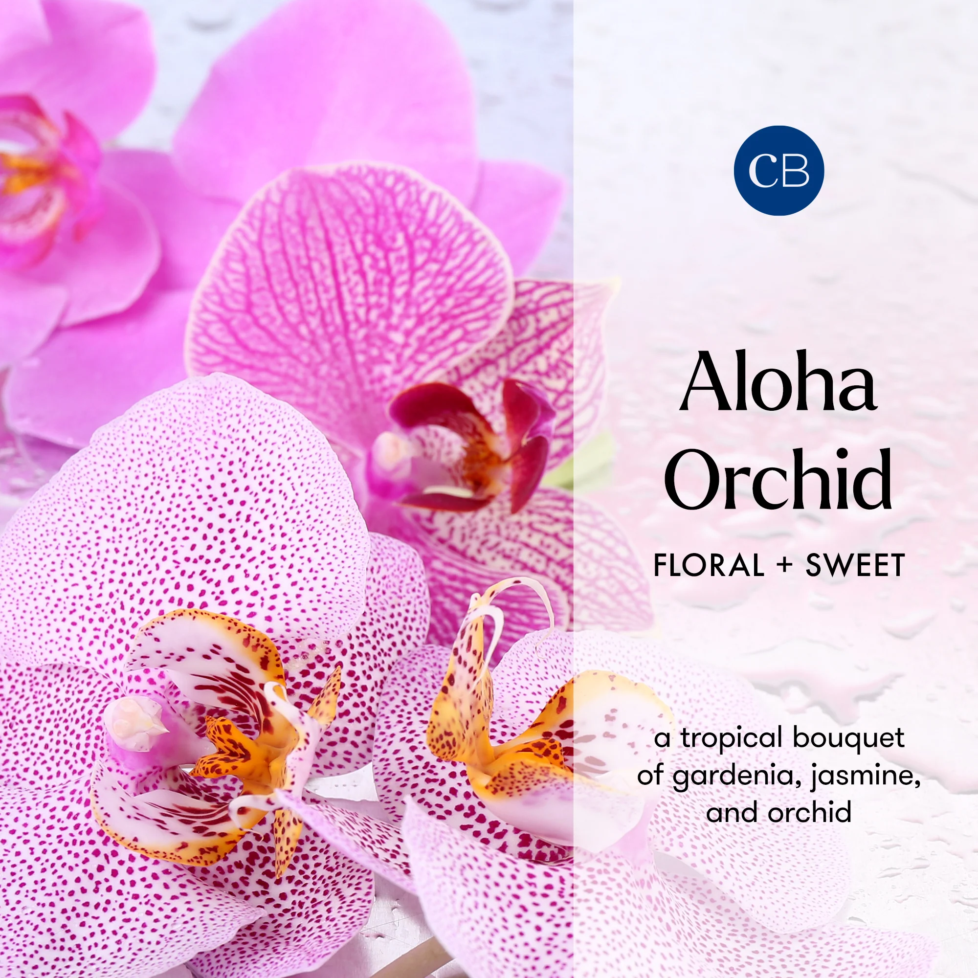 Aloha Orchid Signature Room Spray - Image 3